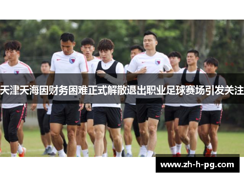天津天海因财务困难正式解散退出职业足球赛场引发关注 天津天海因财务困难正式解散退出职业足球赛场引发关注