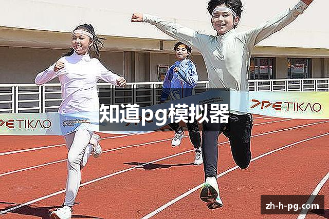 知道pg模拟器