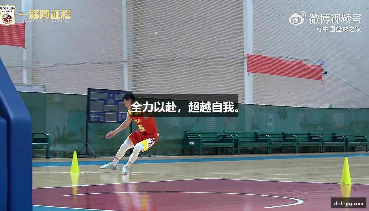 pg模拟器